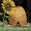 Picture of HONEY BEES AND FLOWERS PLEASE ON BLACK VIII