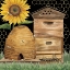 Picture of HONEY BEES AND FLOWERS PLEASE ON BLACK IX