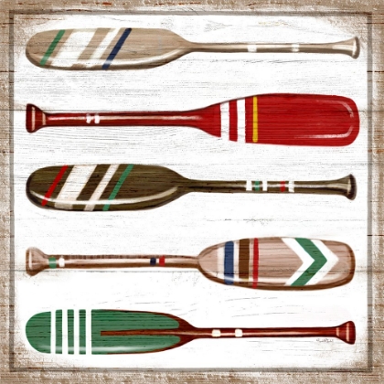 Picture of OARS II