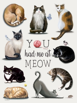 Picture of YOU HAD ME AT MEOW
