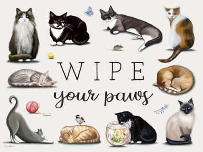 Picture of WIPE YOUR PAWS