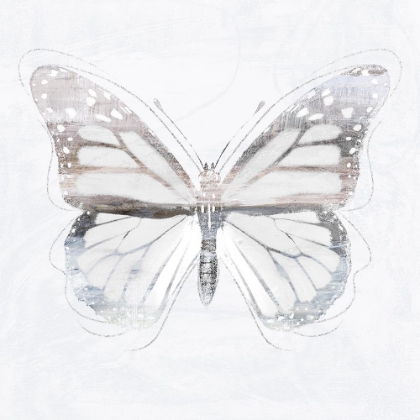 Picture of SILVER BUTTERFLY II