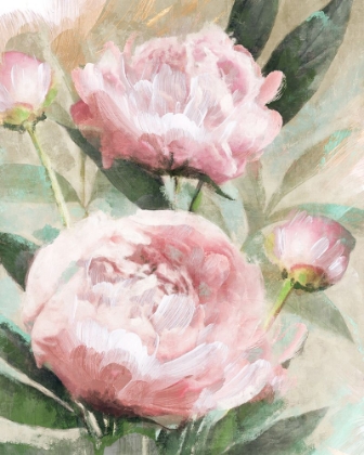 Picture of BOUNTIFUL PEONIES