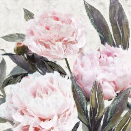 Picture of BOUNTIFUL PEONIES IV