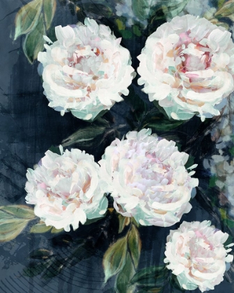 Picture of PEONY MELODY III