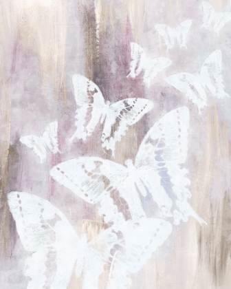 Picture of BRIGHT WHITE BUTTERFLIES II