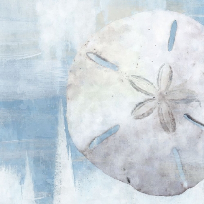 Picture of SAND DOLLAR III
