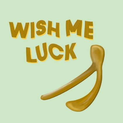 Picture of WISH BONE