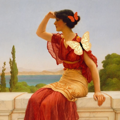Picture of MADAME BUTTERFLY