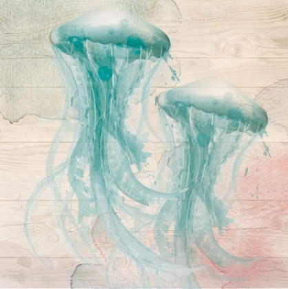 Picture of JELLYFISH