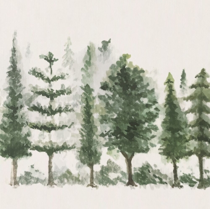 Picture of TREES