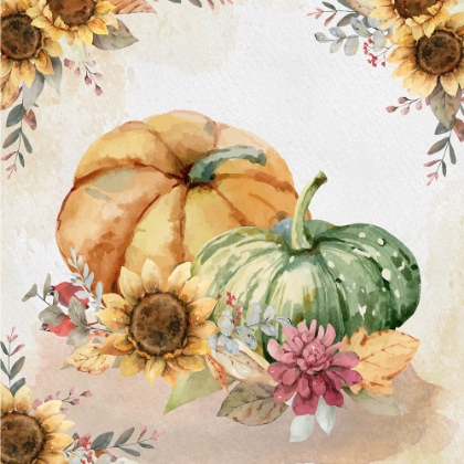 Picture of HARVEST PUMPKINS