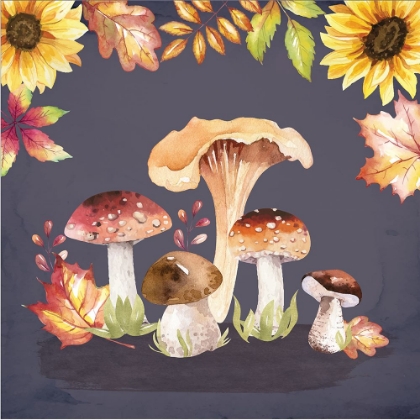 Picture of MUSHROOMS