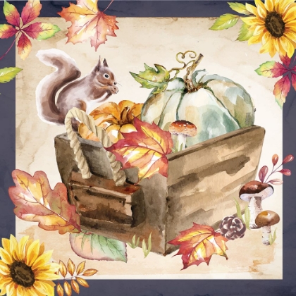 Picture of FALL FOLIAGE