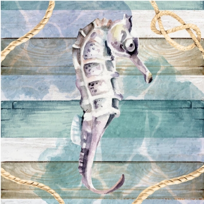 Picture of SEAHORSE