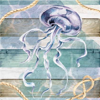 Picture of JELLYFISH