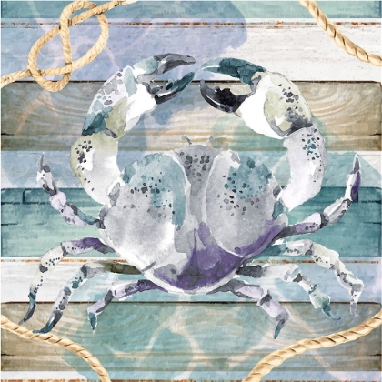 Picture of CRAB