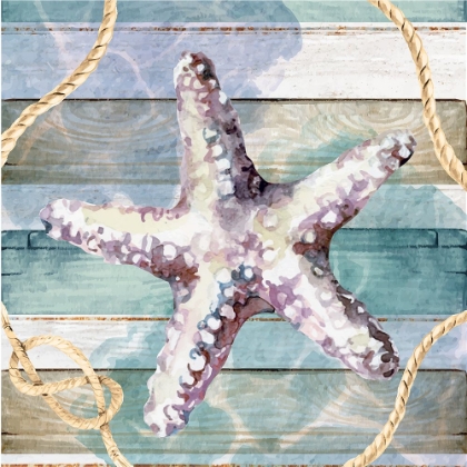 Picture of STARFISH