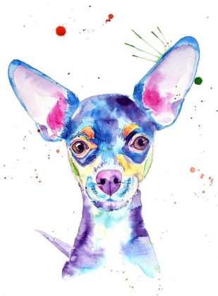 Picture of DOBBY CHIHUAHUA