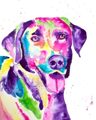Picture of COLORFUL BLACK LAB