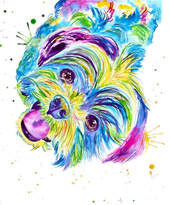 Picture of LOUIE THE COLORFUL SHITZHU