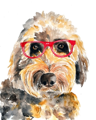 Picture of GOLDENDOODLE IN GLASSES