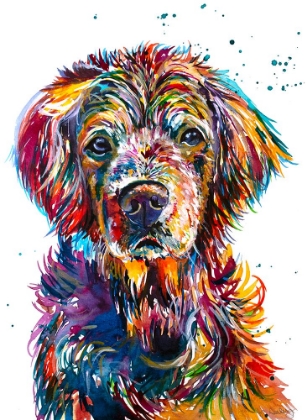 Picture of HOPI THE RETRIEVER