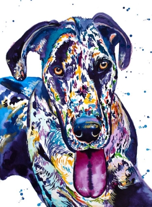 Picture of COLORFUL GREAT DANE