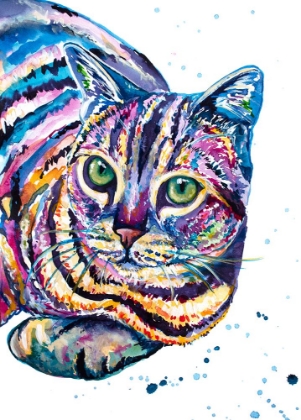 Picture of COLORFUL TABBY CAT