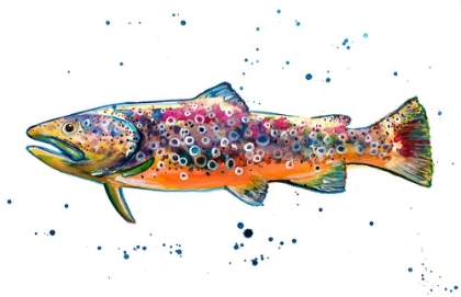 Picture of COLORFUL TROUT