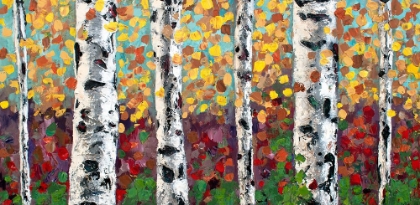 Picture of ASPENS IN COLOR