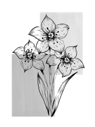 Picture of BOTANICAL RECTANGLE
