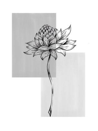 Picture of BOTANICAL RECTANGLE II