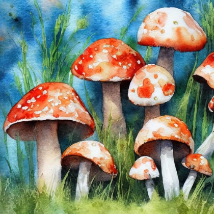 Picture of MUSHROOMS