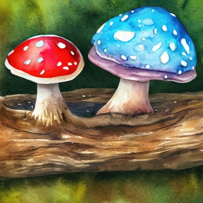 Picture of MUSHROOMS ON A LOG