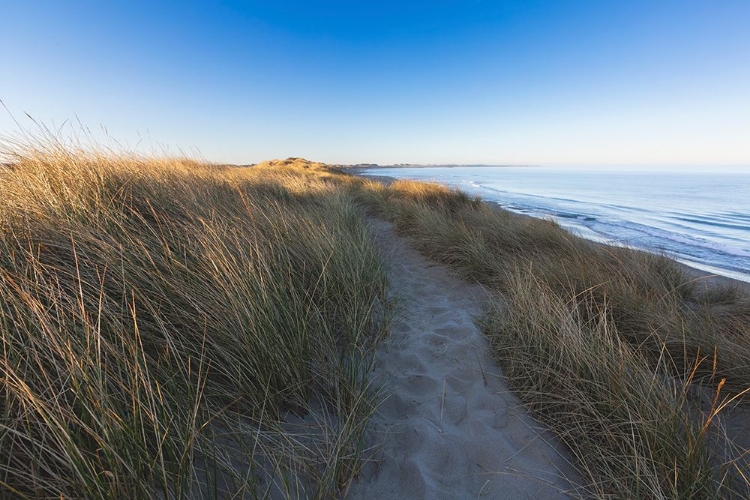 Picture of BEACH PATH