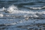 Picture of A QUICK DIP