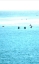 Picture of SURFERS