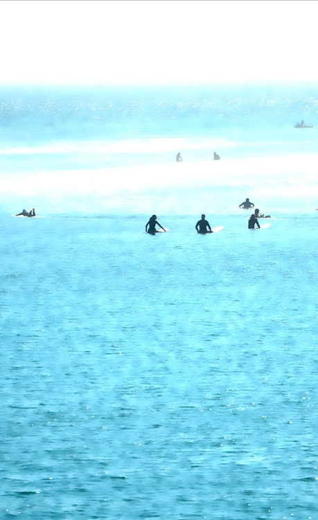 Picture of SURFERS