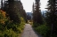 Picture of ENDLESS PATH