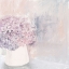 Picture of HYDRANGEAS