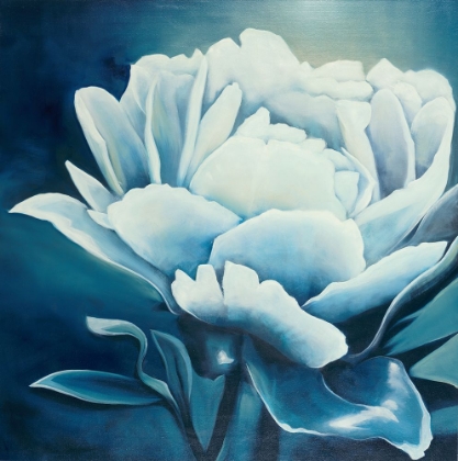 Picture of WHITE FLOWER ON BLUE
