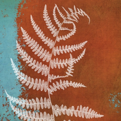 Picture of FERN ABSTRACT STUDY I