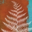 Picture of FERN ABSTRACT STUDY II