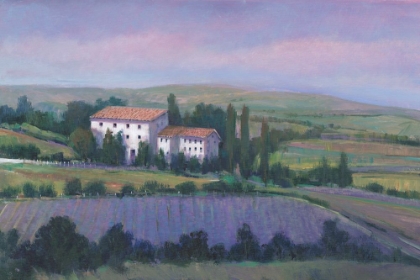 Picture of SOFT LAVENDER FIELDS I