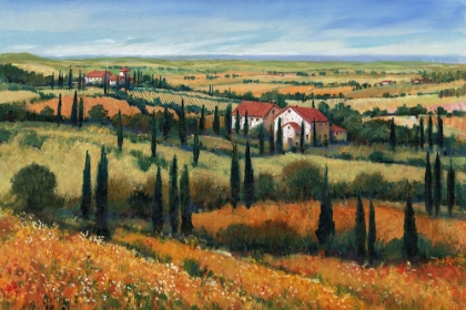 Picture of HILLS OF TUSCANY I
