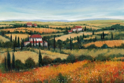 Picture of HILLS OF TUSCANY II