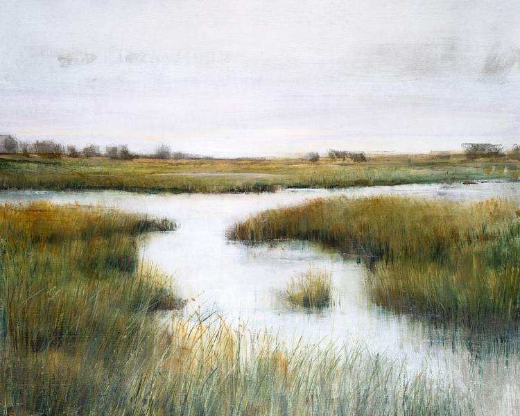 Picture of MISTY MARSHLAND  I