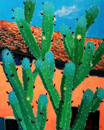 Picture of BLUE FLAME CACTUS IN SPRING