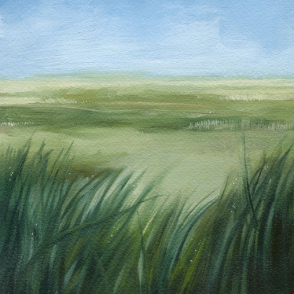 Picture of TALL GRASS PLAINS I
